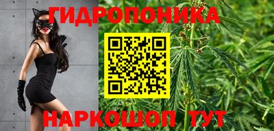 мдма Аргун
