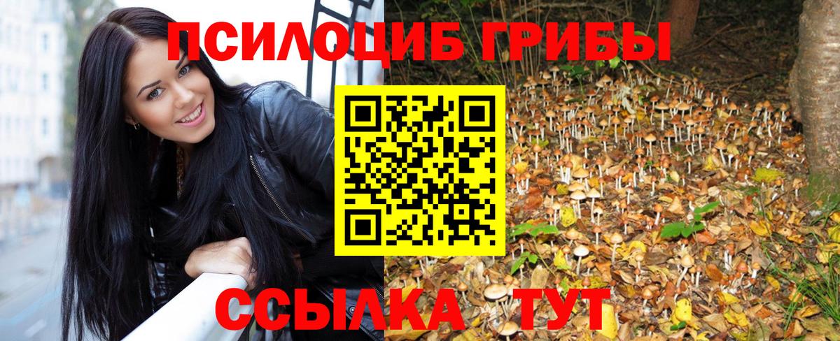 Галлюциногенные грибы Psilocybine cubensis Богданович