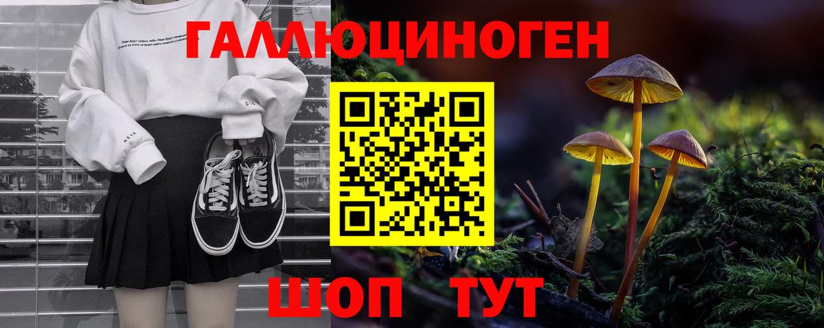Псилоцибиновые грибы Psilocybine cubensis  Вход с VPN  Богданович 